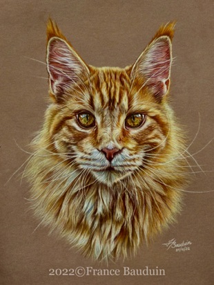Merlin - 19.5 hours
Brown Pastelmat
12.5" x 9.5"
Ref: My own photo